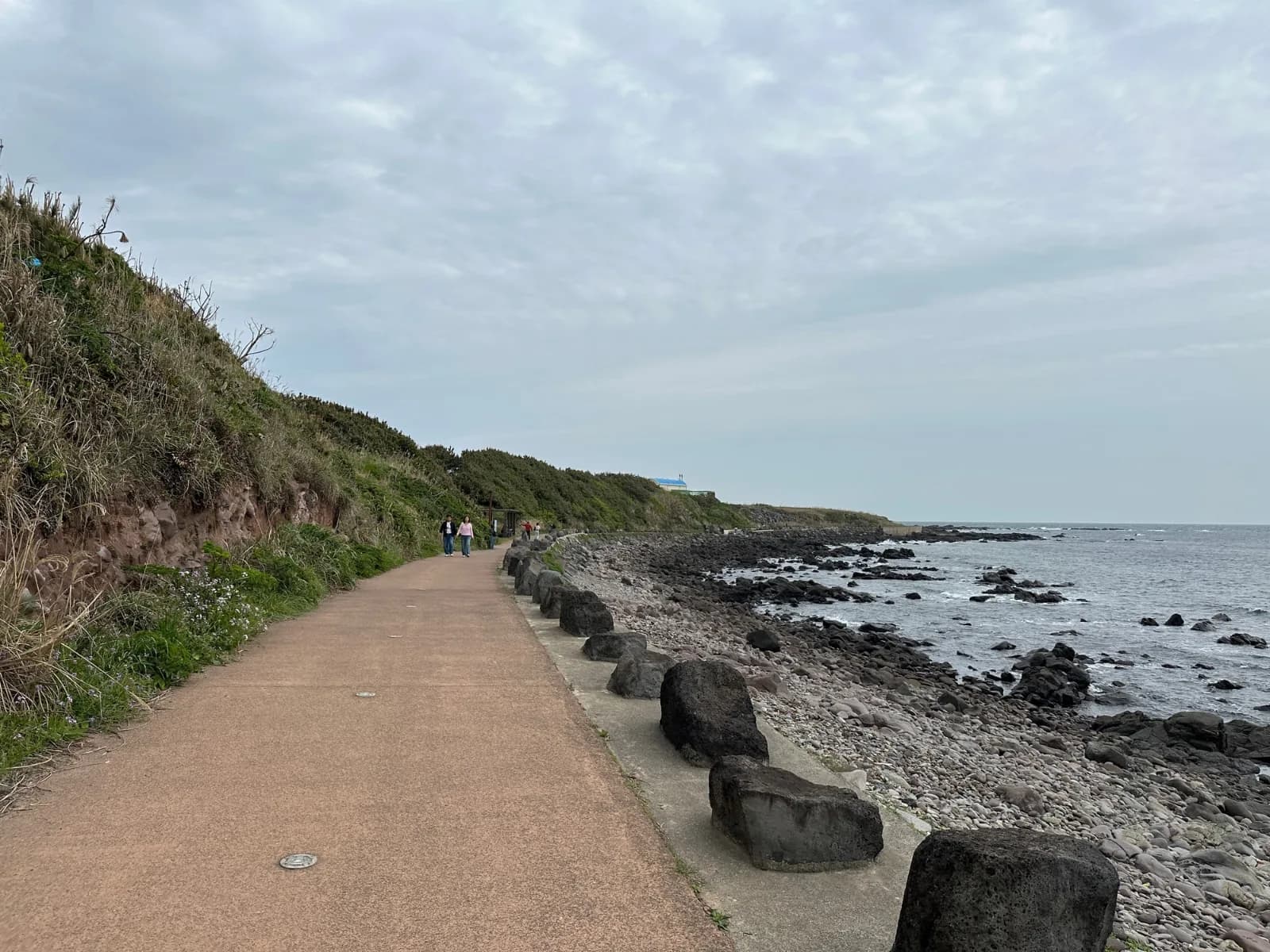 在青草覆蓋的土坡與卵石海岸之間延伸的加波島海岸步道